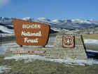 Bighorn National Forest Sign