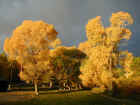 Buffalo City Park Fall Colors