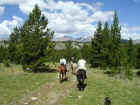Mountain Horseback Riding