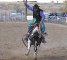 More Rodeos!